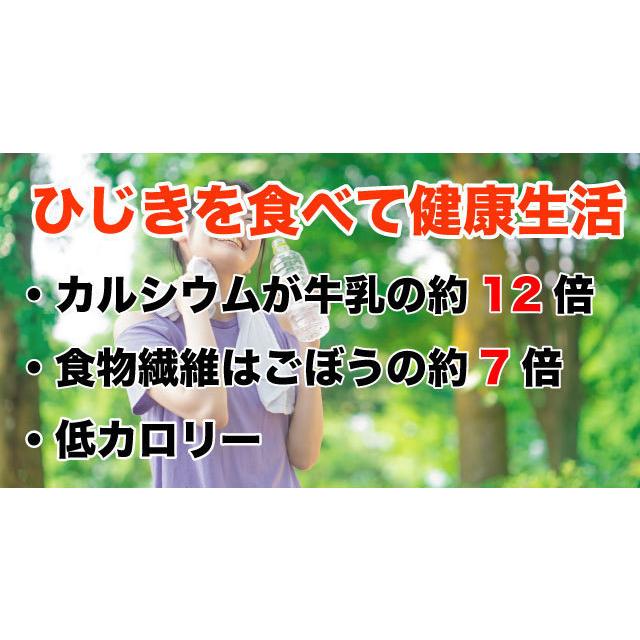 ひじき 長ひじき 国産 天然ひじき 30g お試し ポイント消化 海藻 送料無料