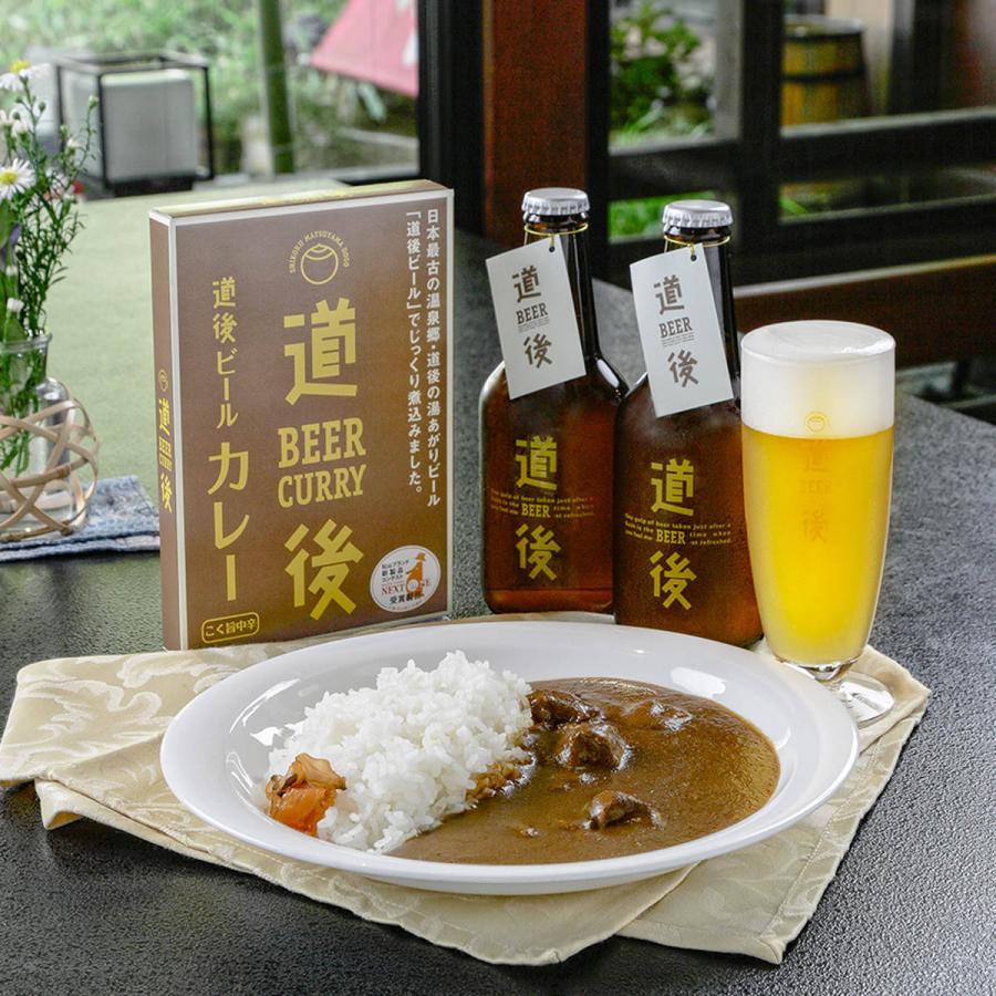 道後ビールカレー ビーフシチュー セット 2種 詰合せ カレー 牛肉 シチュー ビーフ 惣菜 簡単調理 愛媛 水口酒造