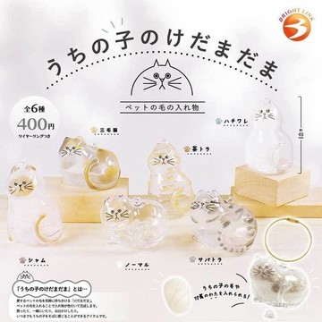 ☀️6H貨☀️貓咪扭蛋 狗狗紀念掛件 透明貓毛收納盒 貓咪吊飾扭蛋 貓咪毛髮存放膠囊 貓咪掛件 寵物玩具紀念物