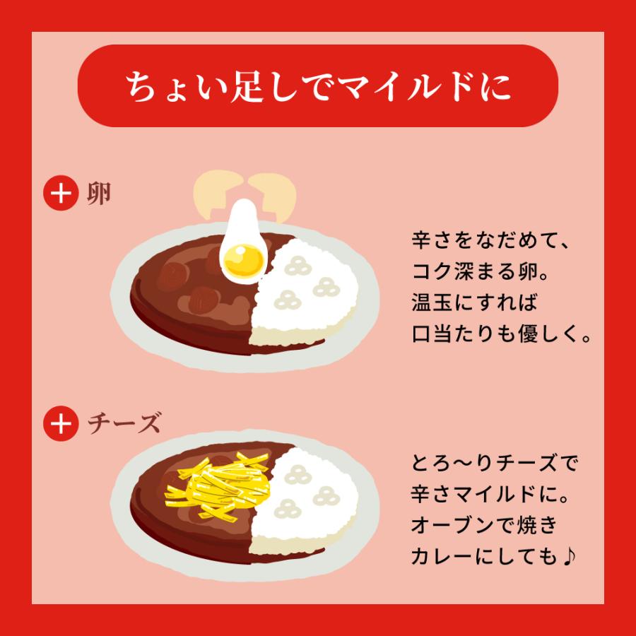 舞妓はんひぃ〜ひぃ〜狂辛カレー 　おちゃのこさいさい 激辛 カレー 京都 ハバネロ 唐辛子 入り 舞妓はんひぃ〜ひぃ〜