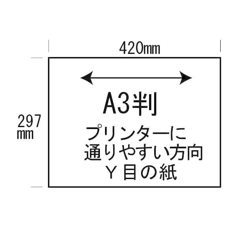 色上質(多量)普通色A3伸判(329×483)横目＜超厚口＞(300枚