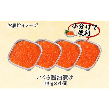 ふるさと納税 年内配送12月10日まで 北海道産 いくら醤油漬け 100g×4パック 計400g 小分け パック イクラ 海鮮 魚介 魚卵 食べきりサイズ.. 北海道倶知安町