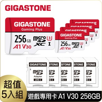 Gigastone 立達 Gaming Plus microSDXC UHS-Ⅰ U3 256GB遊戲專用記憶卡-5入組(256G A1 V30)