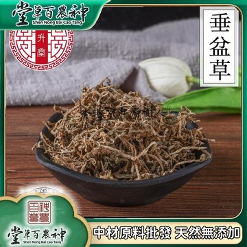 【神農百草堂】垂盆草500克 狗牙草道地 自然曬干【原材批發】
