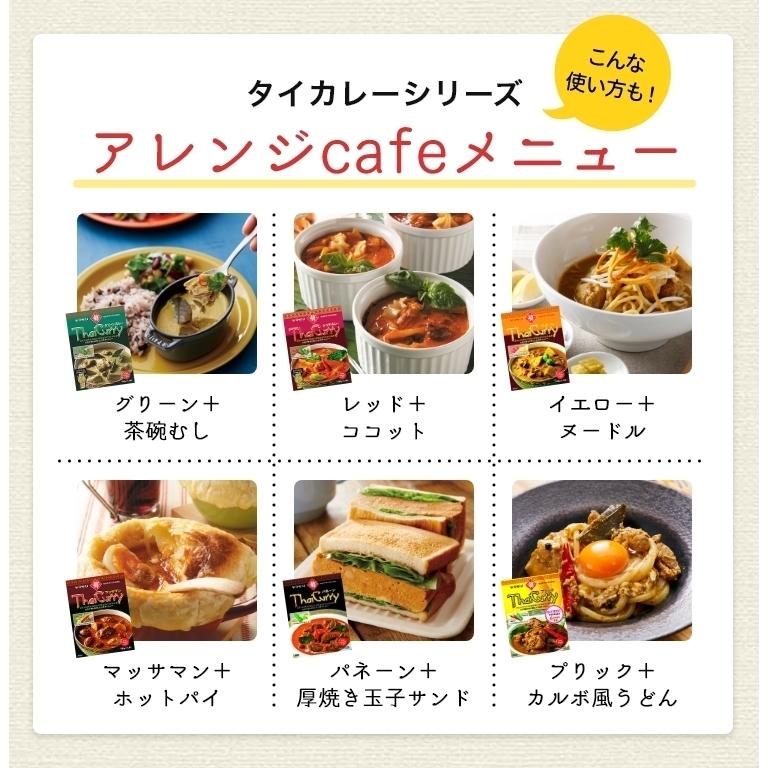 カレー レトルトカレー レトルト食品 レトルト食品 タイカレー ヤマモリ メール便 送料込み グリーンxイエロー 2個 同梱不可タイ料理 1000円