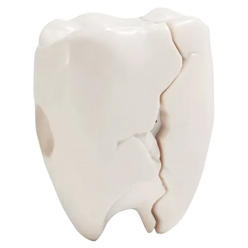 Koios LATMOS 耳機保護殼 Airpods Pro適用 1/2 裂牙  乳白色  1個  單一商品