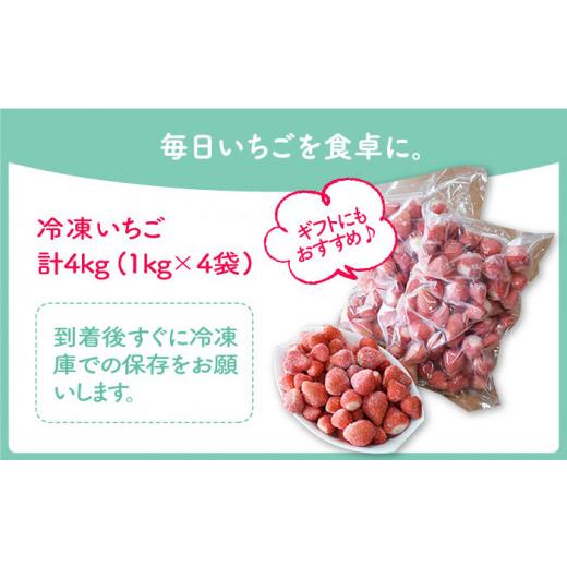 ふるさと納税 佐賀県 江北町 王様のいちご 摘みたてこおりいちご 4kg 冷凍いちご いちごさん さがほのか [HAF004]