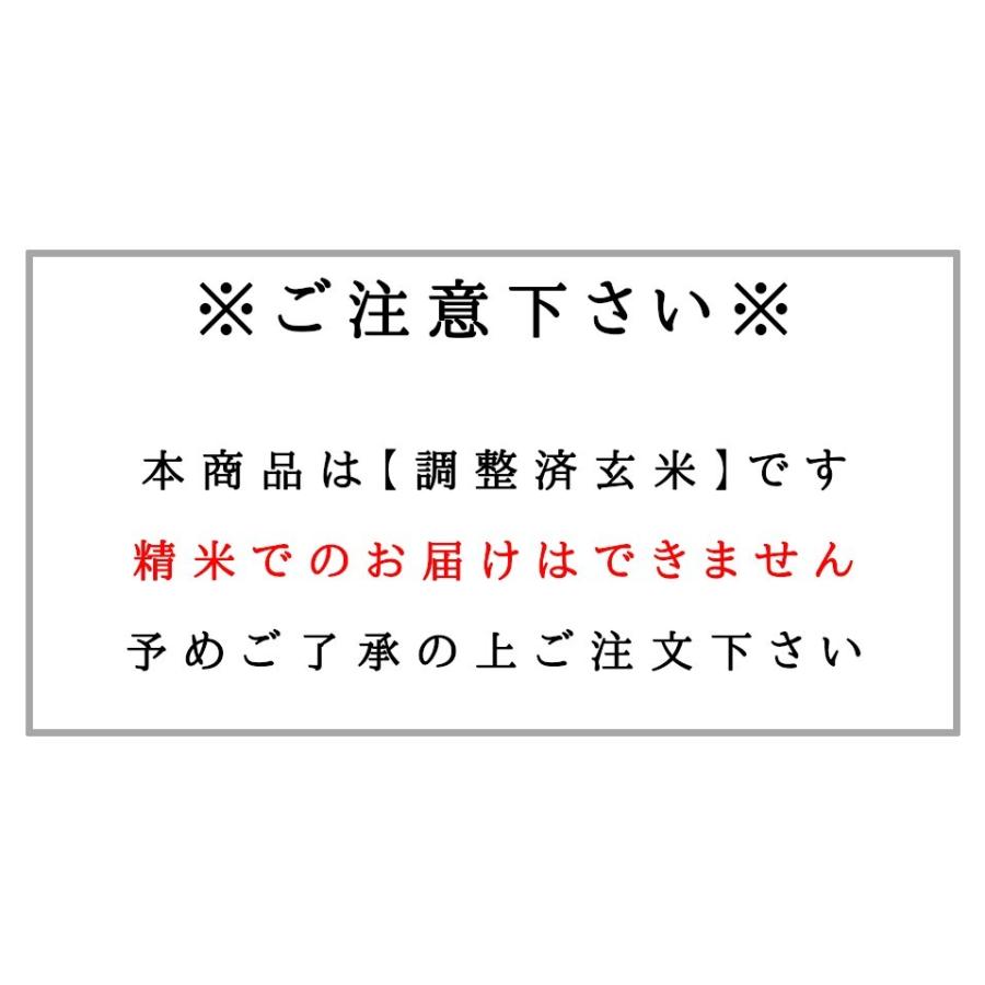 もち米 玄米 30kg 米 お米 国内産 送料無料 キラッと玄米