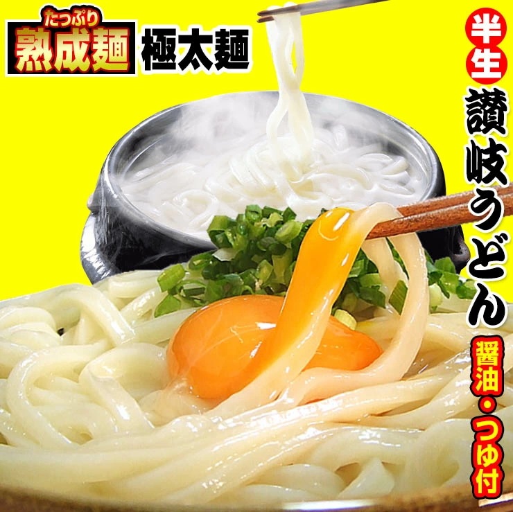 20時間熟成 半生 極太 讃岐うどん つゆ付きセット 便利な個包装 750g 最安値挑戦 お取り寄せ お試し