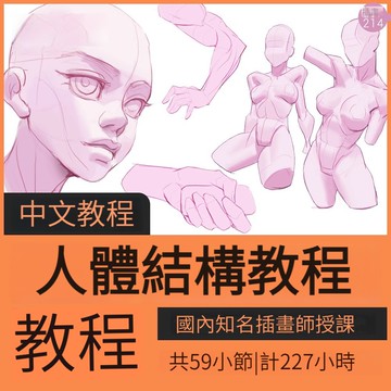 手繪人體結構視頻教程PS原插漫畫美術透視頭部五官骨骼手腳四肢課