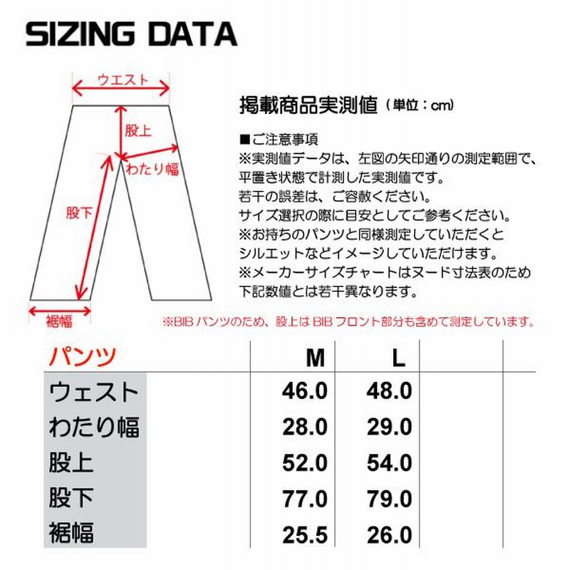 ☆デモモデル☆デサント SIO ひらべったい ヒートナビ スキービブパンツ SAJ デモ技術選