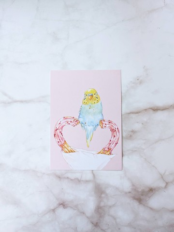 虎皮心型吉拿棒明信片