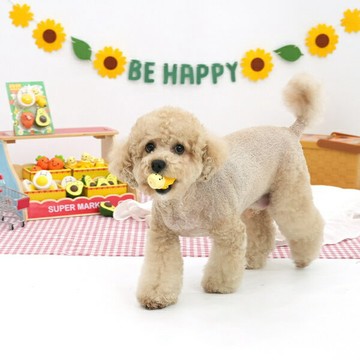 【ParisDog】營養早餐乳膠發聲玩具 (寵物玩具)