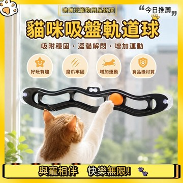【喵喵汪甄選】🐱貓咪軌道玩具 波浪吸盤軌道鈴鐺球 寵物益智玩具球 牆壁軌道玩具 逗貓玩具 逗貓遊戲 貓咪自嗨玩具