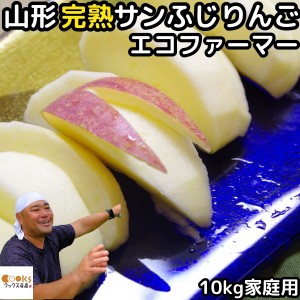 りんご 訳あり ふじ サンふじ 10kg 24～46玉 糖度 減農薬 エコファーマー わけあり 完熟 リンゴ サンフジ 山形 太田農園 りんご 家庭用