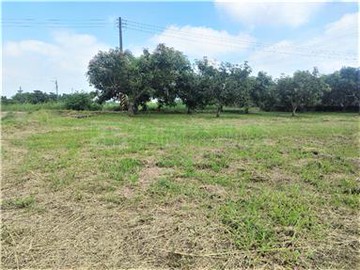 新化交流道3.7分便宜農地｜台南市新市區日潭段