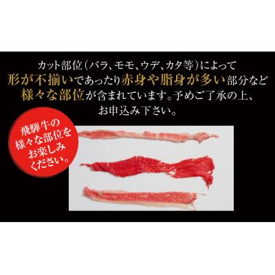 ふるさと納税 高山市 訳あり 飛騨牛 切落とし600g(150g×4パック)使い勝手の良い小分け冷凍真空パック MZ012