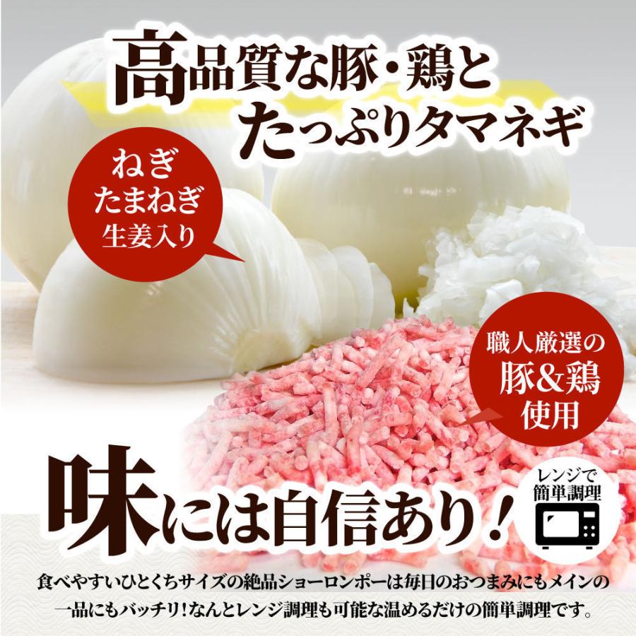 小籠包 ショーロンポー 中華 100個入り 2.5kg(500g×5) 点心 中華料理 惣菜 温めるだけ レンジ 冷凍 お弁当 あす楽 業務用 温めるだけ レンチン 冷食