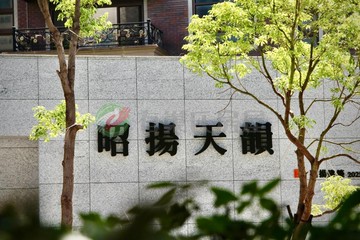 【昭揚天韻 】中路核心全新三房車｜桃園市桃園區正光路