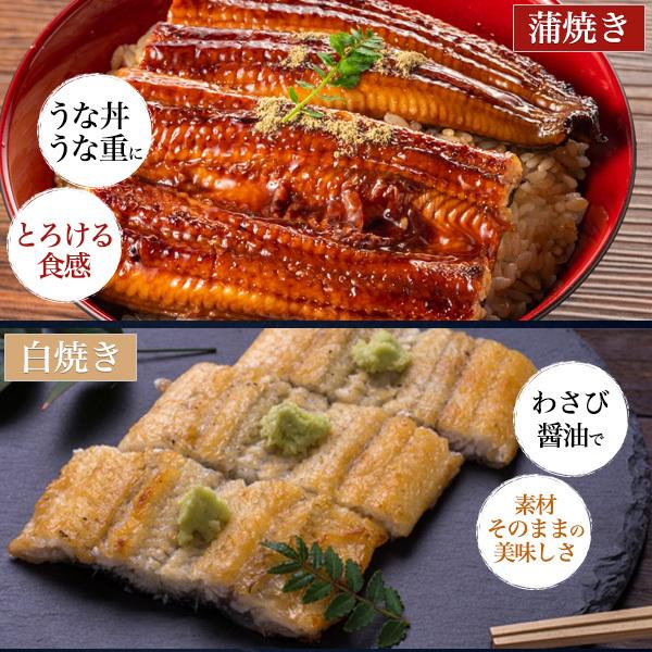 国産 うなぎ 朝じめうなぎ 2尾セット 200〜250g 国産 愛知 超特大サイズ 冷蔵便発送 かば焼き 蒲焼 白焼き 鰻 ウナギ しんこ 新仔 お歳暮