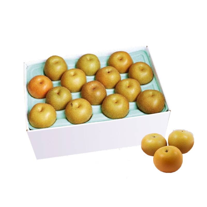 [予約 11月1日-11月30日の納品]  新興 和梨 約10kg 12-20玉 新潟県 埼玉県 茨城県 他 秋ギフト 梨 日本梨　冬ギフト お歳暮 御歳暮