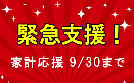 宮崎牛 牛肉 肩ロース スライス 300g×2 合計600g 数量限定 宮崎県産 冷凍 牛肉 家計応援 内閣総理大臣賞受賞 国産 牛肉 黒毛和牛 薄切り うす切り 牛肉 すき焼き ミヤチク 牛丼 炒め物 しゃぶしゃぶ 牛肉 肉じゃが プルコギ 牛肉 緊急支援