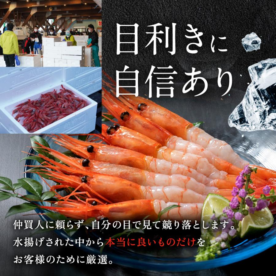 甘えび  甘海老 天然甘エビ 刺身 生食可 福井県産 純国産 無添加 冷凍甘エビ 1kg（500g×2箱） 送料無料 内祝い お歳暮 プレゼント ギフト