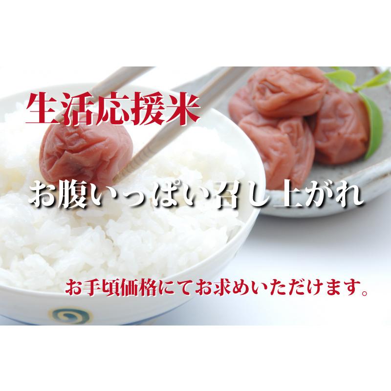 福井米 令和５年産 福井県産米10割 10kg 白米 安い 10kg×1 ブレンド米 生活応援米 送料無料