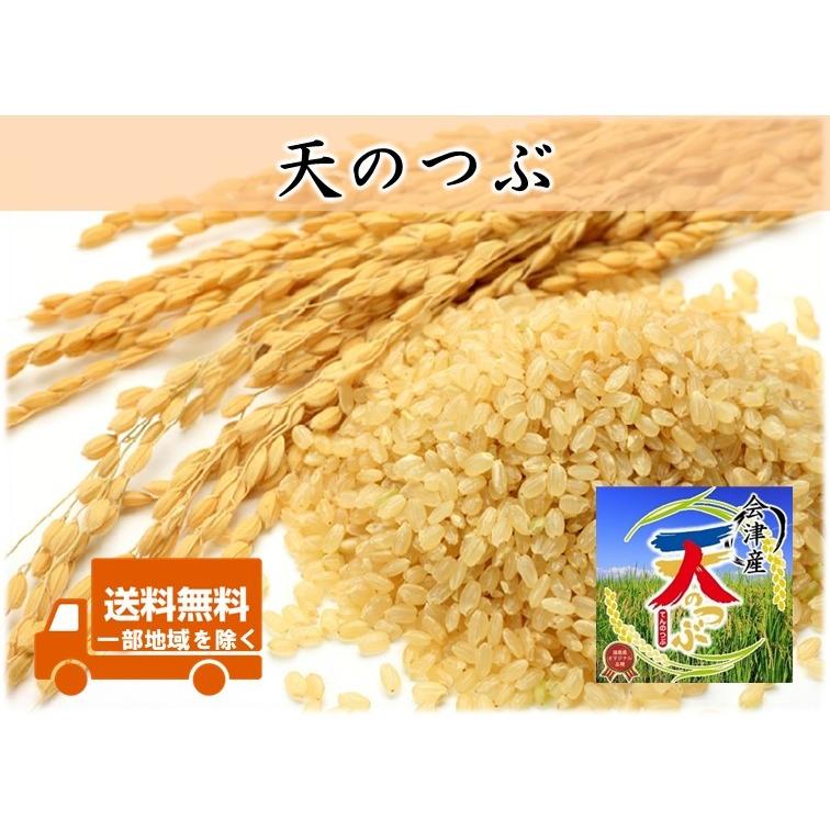 令和5年産新米 会津産天のつぶ 玄米お試し10kg