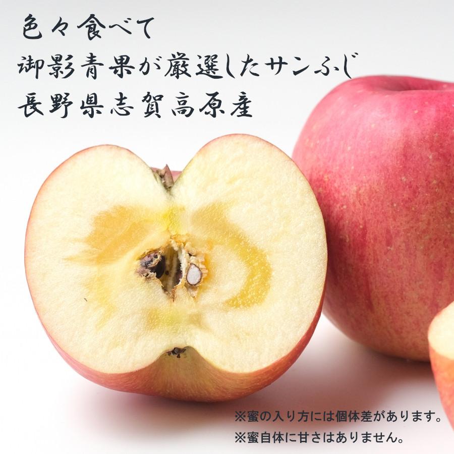 サンふじ りんご 3kg 甘い 特秀 長野県 林檎 通販 送料無料 12月 旬 果物 贈答 ギフト 大容量