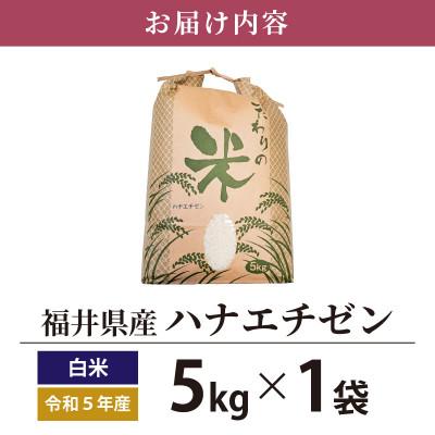 ふるさと納税 越前町 令和5年産　ハナエチゼン(精米)　5kg