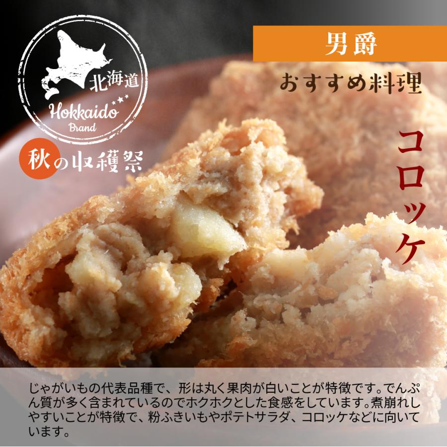 北海道の秋の食材！じゃがいも４種各1.5ｋｇ・玉ねぎ２ｋｇ・南瓜1.5ｋｇ