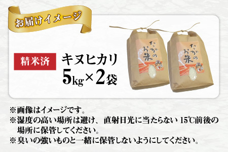 キヌヒカリ10kg（5kg × 2袋） おいしい多賀のお米