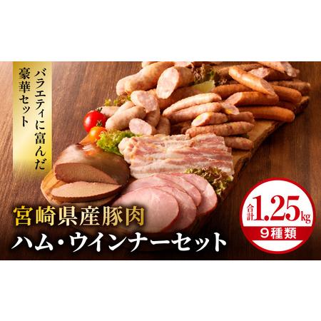 ふるさと納税 宮崎県産豚肉ハム・ウインナーセット（合計1.25ｋｇ9種類） ハム ベーコン ウィンナー レバー 粗挽 宮崎県宮崎市