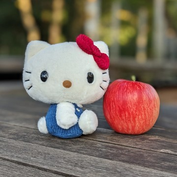 真愛日本 凱蒂貓 kitty 經典 高級 絨毛玩偶娃 S號 70年代 復古 娃娃 布偶 玩偶 絨毛娃娃