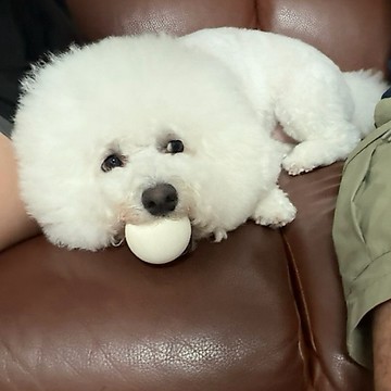 9/6 CINDA直播下單區💖最晚9/9完成下單‼️