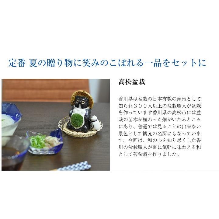 盆栽 中元 小豆島手延べそうめん 苔盆栽 納涼セット 素麺 涼を贈る 夏ギフトに そうめん 和