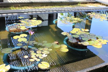 清淞19F16坪山景湯屋｜新北市淡水區淡金路