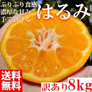 はるみ みかん オレンジ 8kg 和歌山県産ご家庭用