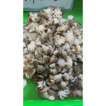 現流章魚 章魚 300克 份 去肚 不包冰  冷凍食品 調理食品 電子發票 章魚  [ 誠實討海人 ]