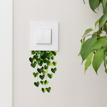 【MR.ZAKKA】創意萬用裝飾貼紙-植物主題 彩繪綠植藤蔓葉子 居家節慶布置 DIY可移式壁貼 無痕壁貼 牆貼