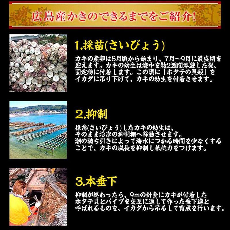 ますよね カキ 牡蠣 ジャンボ広島かき 1kg (解凍後 約850g) 約30粒 約4-5人前 加熱用