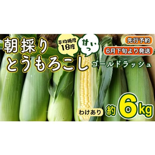 ふるさと納税 茨城県 八千代町  朝採り とうもろこし （ ゴールドラッシュ ） 約 6kg トウモロコ…