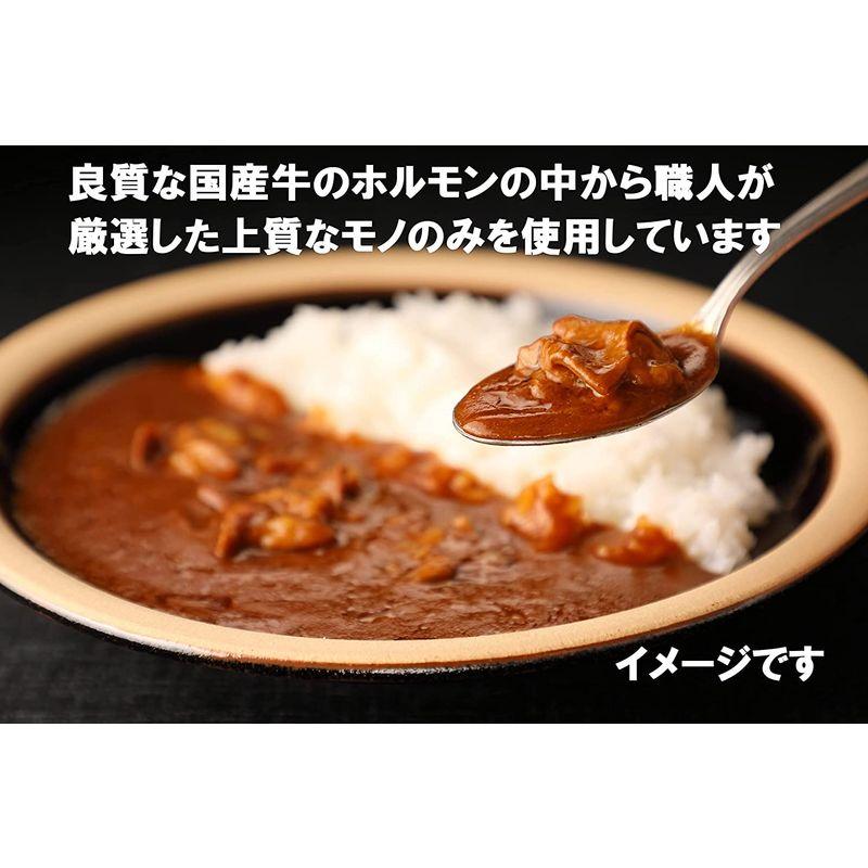 京都食肉市場直送 牛ホルモンカレー 中辛 1人前200g 5個セット 国産牛ホルモン使用 レトルトカレー ご当地カレー