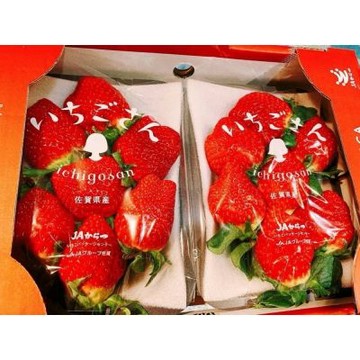 日本 佐賀 いちごさん 佐賀小姐 草莓｜年節水果禮盒