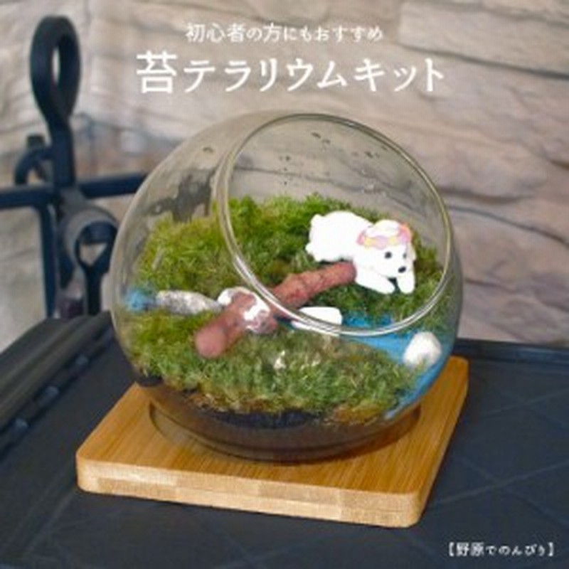 高級品 プロトリーフ 盆栽の土 2L discoversvg.com