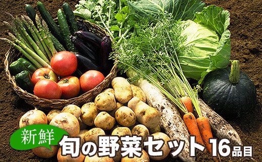 旬の新鮮野菜たっぷり16品セット《30日以内に順次出荷(土日祝除く)》★御船町産を中心とした旬の野菜セット 冷蔵 詰め合わせ 季節の野菜 安心・安全の野菜セット