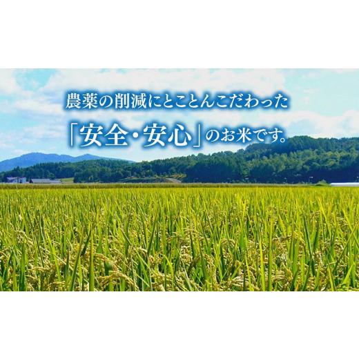 ふるさと納税 北海道 旭川市 旭川 ななつぼし 米 10kg(1kg×10)