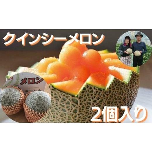 ふるさと納税 茨城県 鉾田市 山一ファームの『クインシーメロン』２個入り