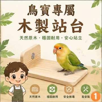 鳥籠實木棲息平台  原木平面棲木板 鸚鵡實木棲息平台 鳥籠固定式休息站板 平面站台